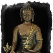 Посвящение будды медицины Практика будды медицины знаки на пути